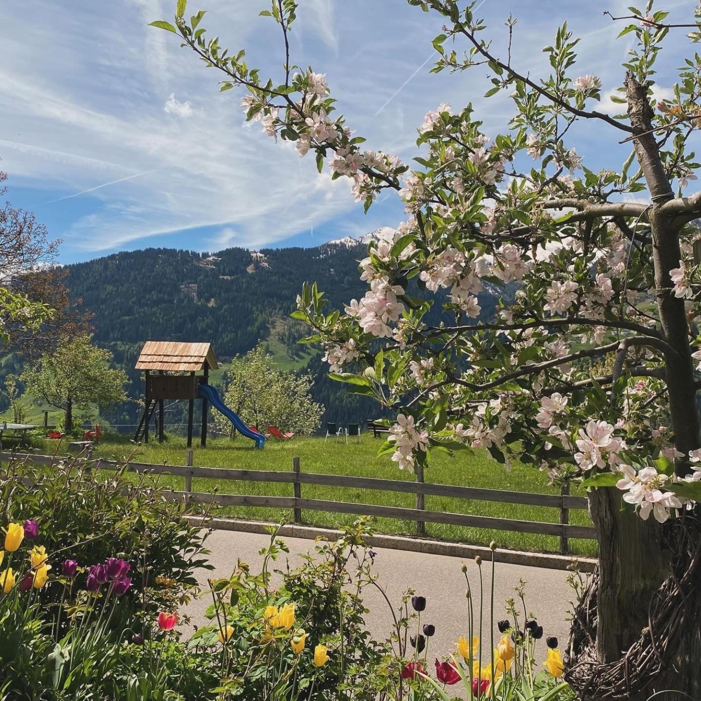 Hotel Alpenland Moso Bagian luar foto
